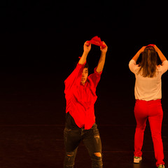 d7k_0856_carrysize_cr_43368135050_o.jpg